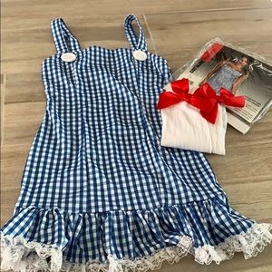 Dorthy or Farm Girl Halloween costume